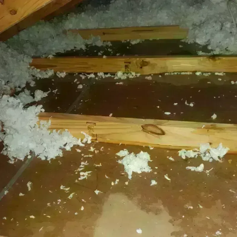 Attic Water Damage in Montgomery, MN