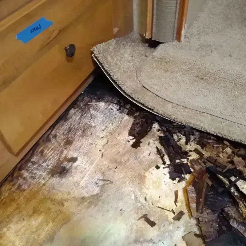 Wood Floor Water Damage in Montgomery, MN